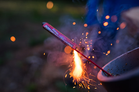 shallow focus photography of baby rocket thumbnail