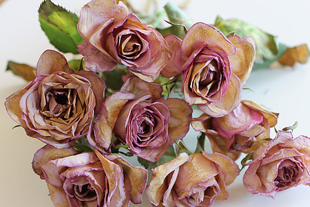 pink rose bouquet thumbnail