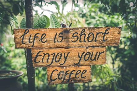 selective photography of beige wooden Life is short Enjoy your Coffee signage thumbnail