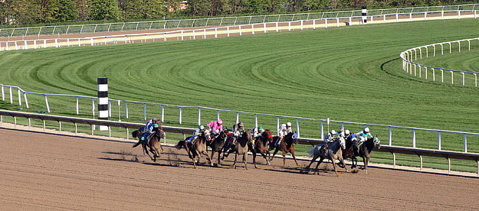 herd of horsemen on field thumbnail