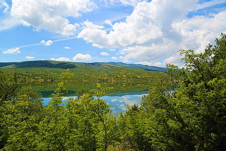 green leafed trees beside calm body of water under white and blue cloudy sky at daytime thumbnail