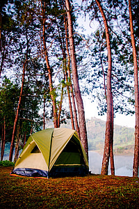yellow and blue tent on forest thumbnail