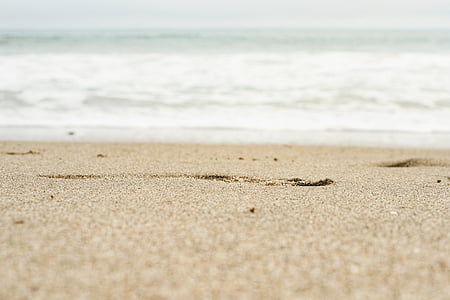 shallow focus photo of shore thumbnail