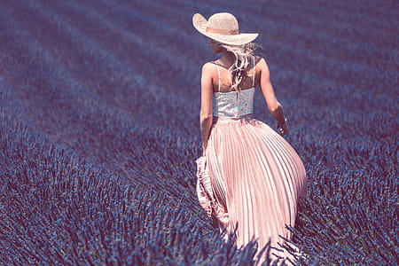 Walking in Lavender Field thumbnail