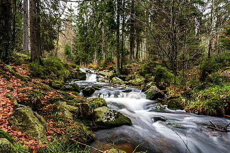waterfalls and forest thumbnail