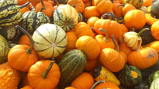 close-up of bunch of squash thumbnail