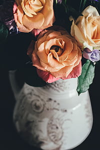 three orange roses on white ceramic vase thumbnail