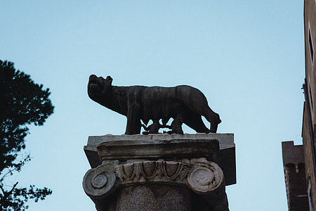 Capitoline Wolf thumbnail