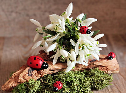 bouquet of white flowers thumbnail