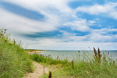 green grass thumbnail