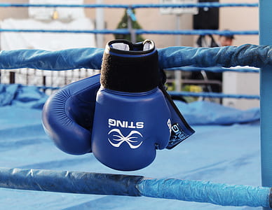 selective focus photography of blue-and-black Sting training gloves thumbnail