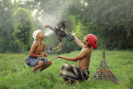 two men playing with black chicken during daytime thumbnail