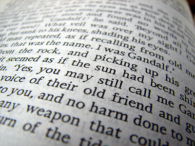 white book thumbnail