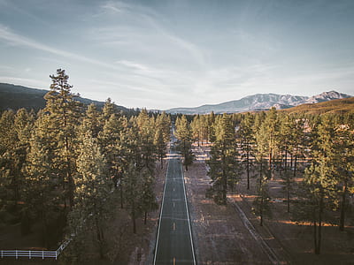 road surrounding by trees thumbnail
