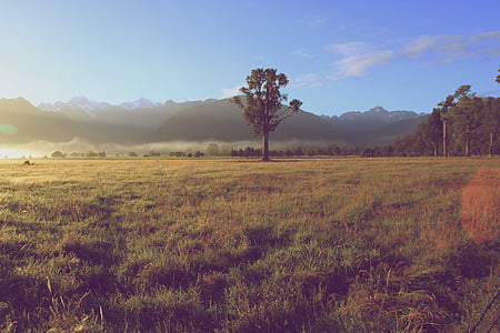 landscape photography of mountain thumbnail