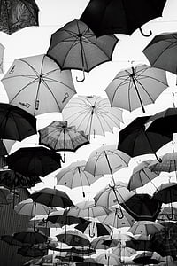 grayscale photo of umbrellas thumbnail