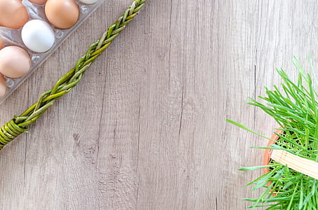 eggs on tray beside green potted plant thumbnail