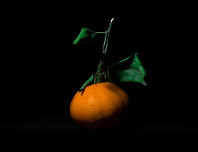 orange fruit thumbnail