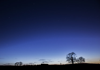 silhouette of tree and house thumbnail