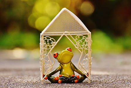 pavilion, frog, yoga, garden, summer, park thumbnail