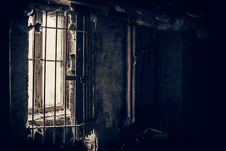 windowpane with gray metal grille thumbnail