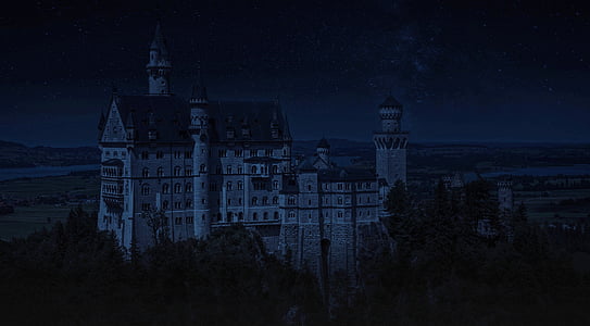 white and gray castle at night thumbnail