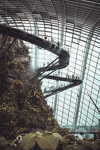 people standing on metal pathway near man made mountain inside dome building thumbnail