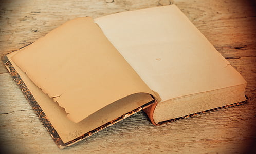 brown open book thumbnail