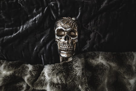 Halloween Skulls Decorations thumbnail