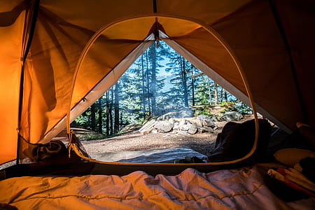 brown and white tent thumbnail