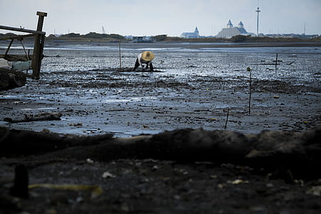 person planting on ground thumbnail