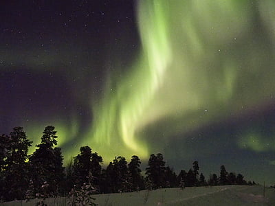 green aurora borealis over silhouette of trees thumbnail