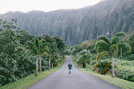 man walking in the middle of road surrounded by trees thumbnail