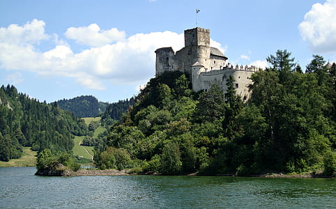 gray castle surrounded by trees thumbnail