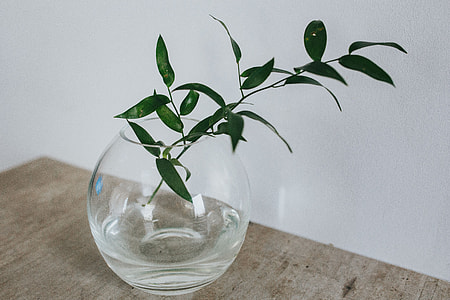 Home decor with green plants thumbnail