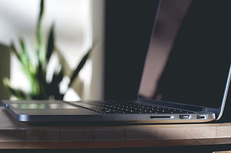 black laptop computer near snake plant thumbnail
