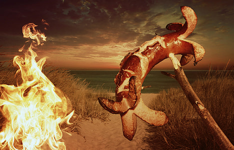 grilled hotdog near fire thumbnail