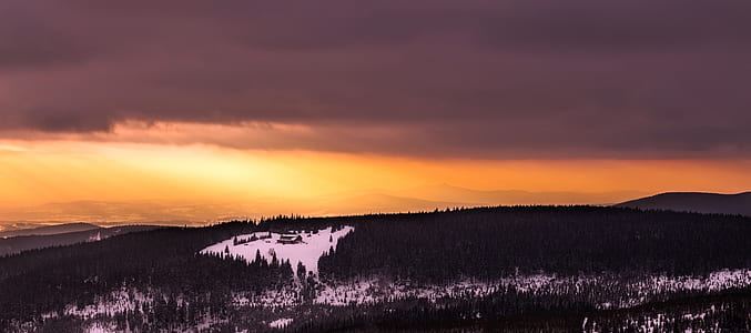 light, dawn, landscape, forest thumbnail