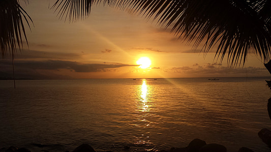 body of water during golden hour thumbnail
