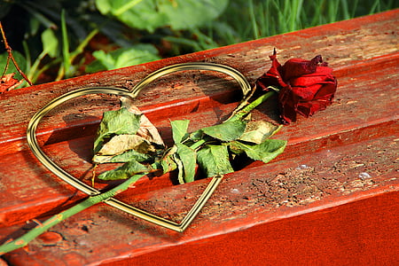 red rose on gold-colored heart accessory thumbnail