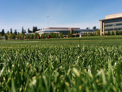 green grass field thumbnail
