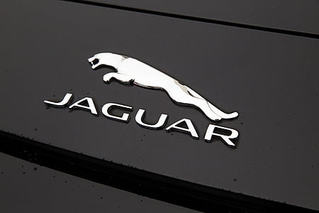 Jaguar emblem thumbnail