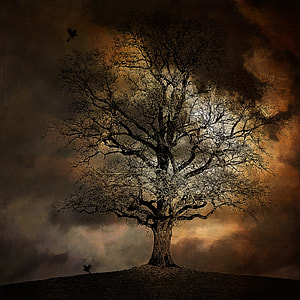 black tree with two black birds illustration thumbnail