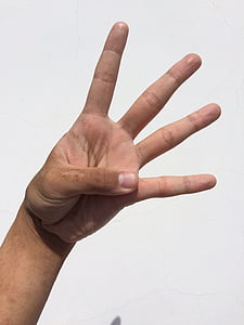 person's left hand thumbnail