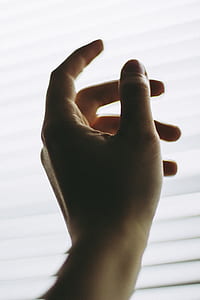 photo of hand in front of white window blinds thumbnail