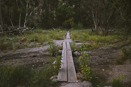 photography of brown wooden planks thumbnail