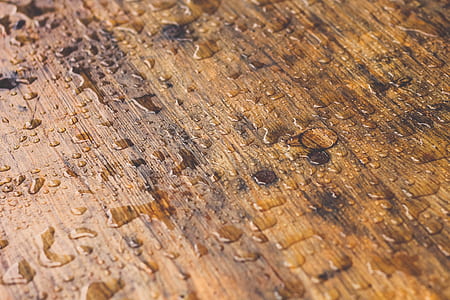 selective focus photography of water droplets thumbnail