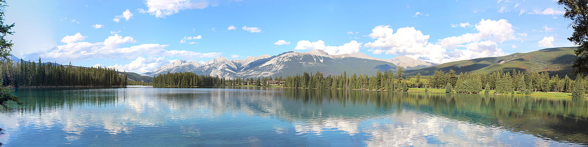 calm body of water with trees at daytime thumbnail