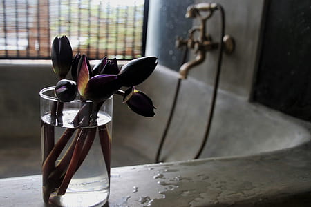 purple flowers on vase on top of bathtub thumbnail
