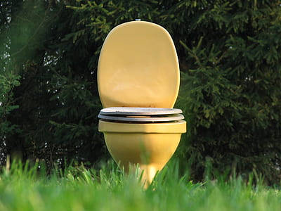 yellow toilet bowl on green grass field thumbnail